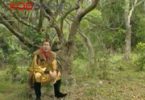 คลิปโป๊ คลิป18+ ฉากเสียว ดูหนังฟรี หงอคง หนังจีน ไทย